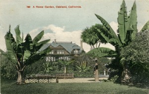 A Home Garden, F. M. Smith Residence, Oakland, California    